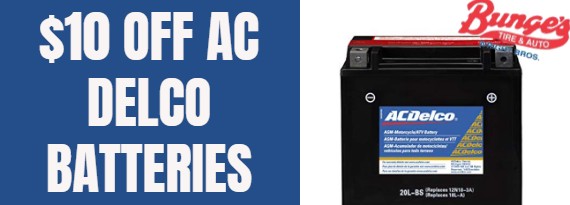 AC DELCO Professional Battery
